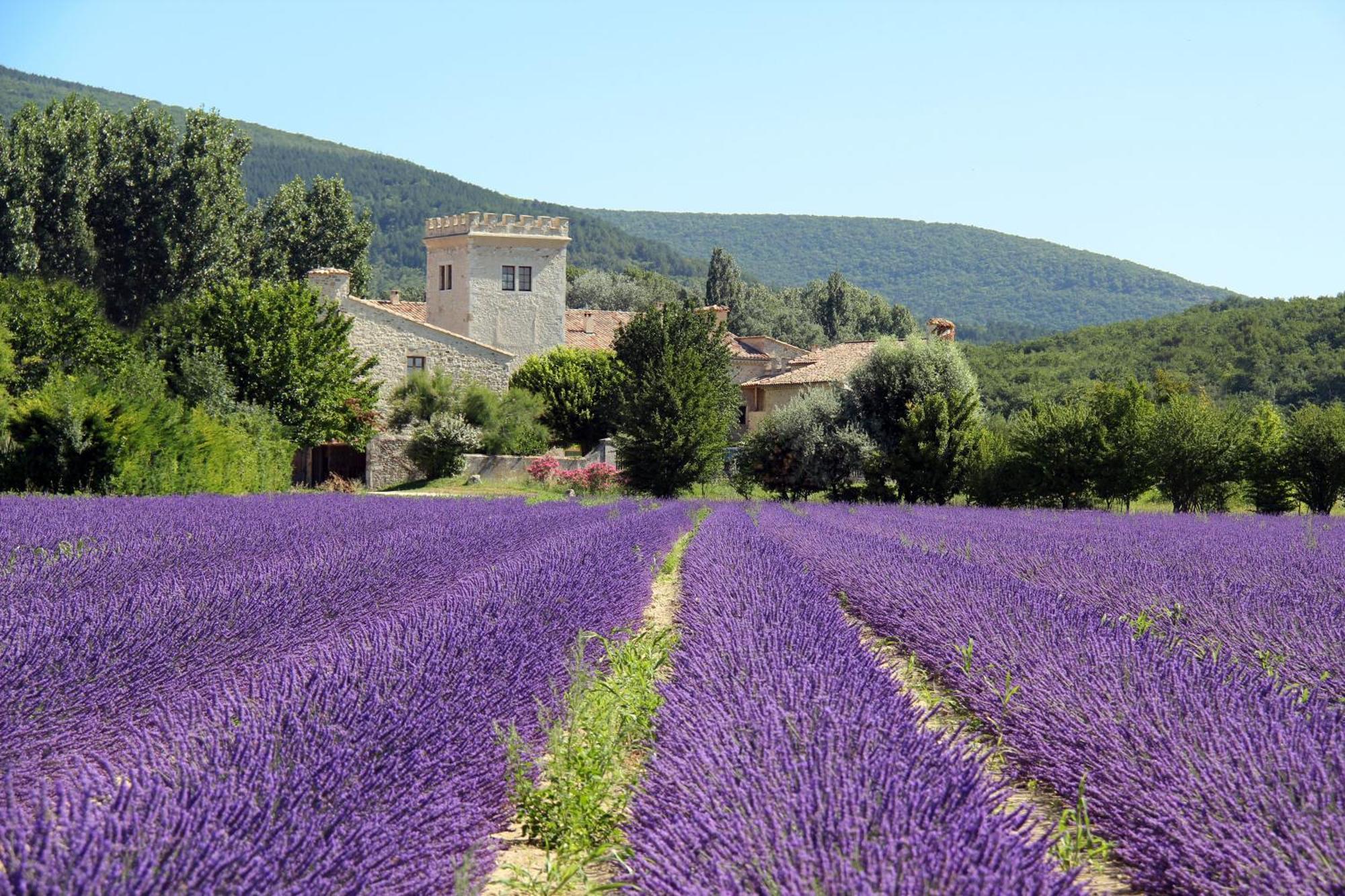 La Colombiere - Vue Imprenable Sur L'Ardeche - Tres Calme - Tres Bien Situe - Residence Privee Montélimar Eksteriør bilde